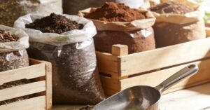 Ile waży litr ziemi? Sprawdź, ile kilogramów waży litr różnych gleb